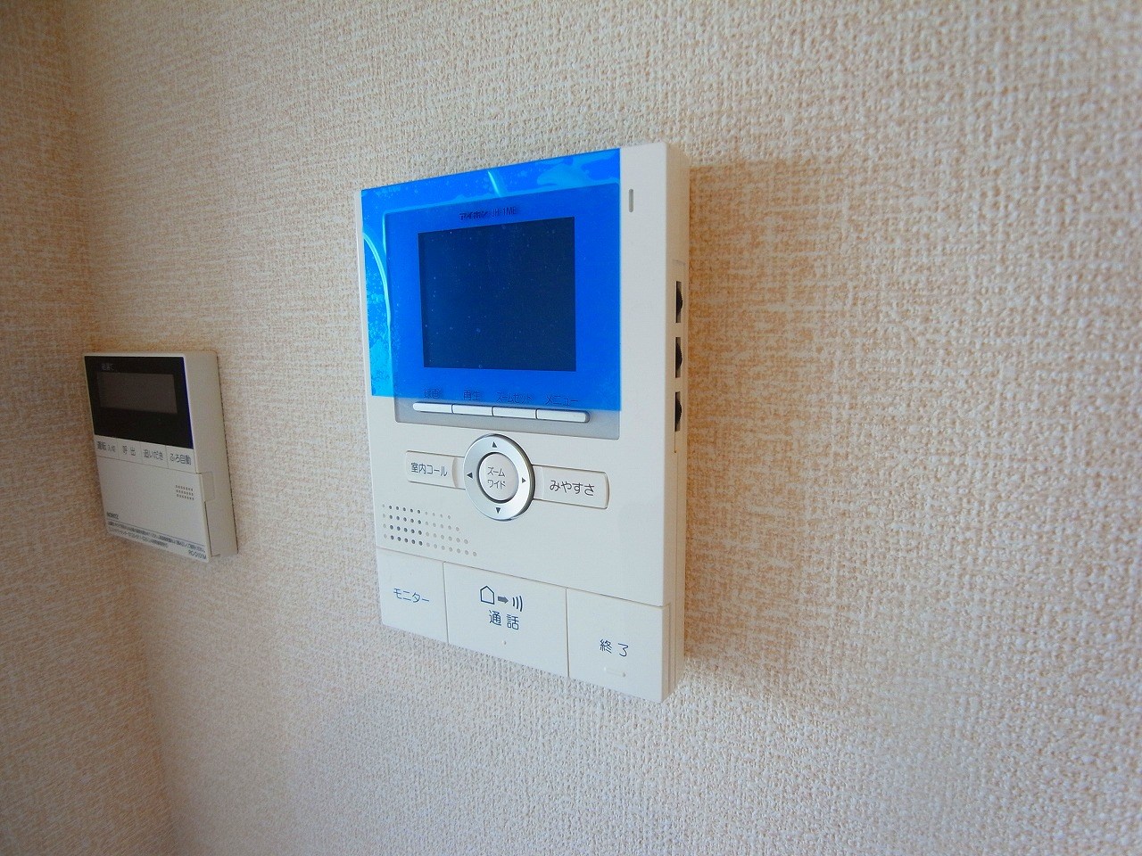 カーネリアン その他5