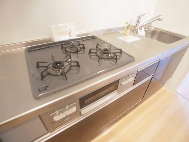 アルコイーリス その他10