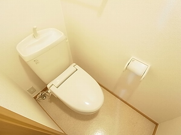 ストロベリーカーサⅡ その他1