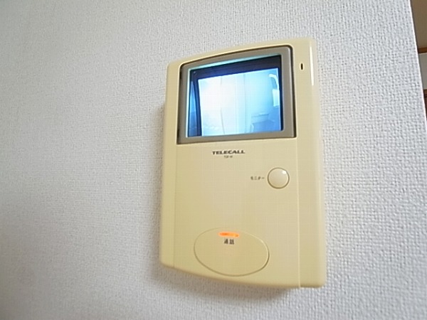 ストロベリーカーサⅡ その他4