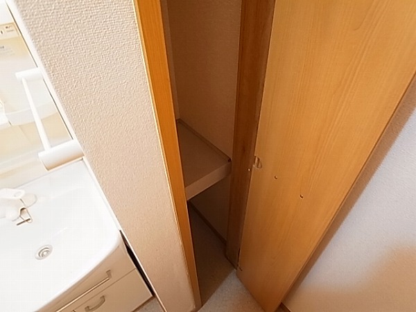 ストロベリーカーサⅡ その他8