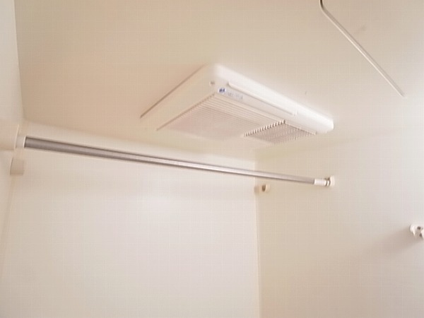 ストロベリーカーサⅡ その他9