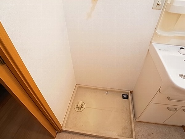 ストロベリーカーサⅡ その他10