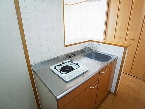 ストロベリーカーサⅡ その他11