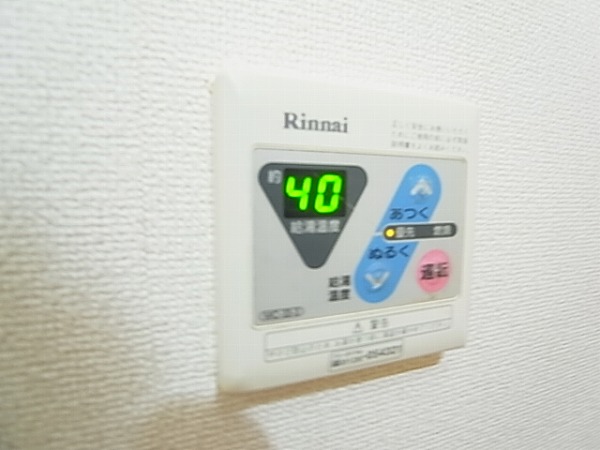 ストロベリーカーサⅡ その他15