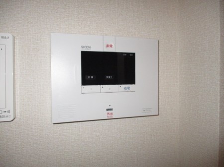 ステラA その他3