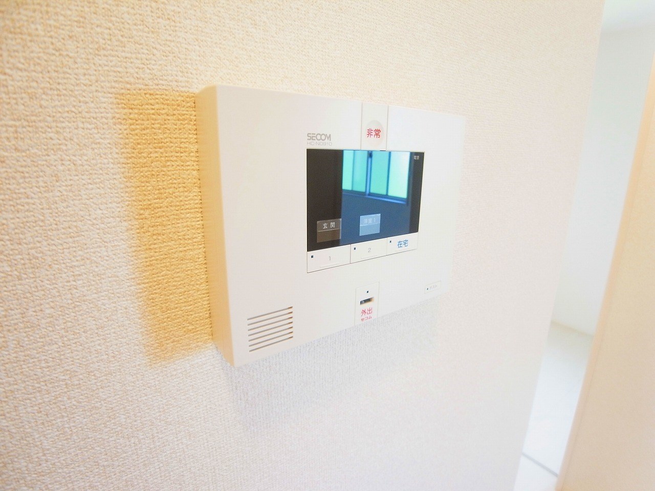 カーネリアン その他4