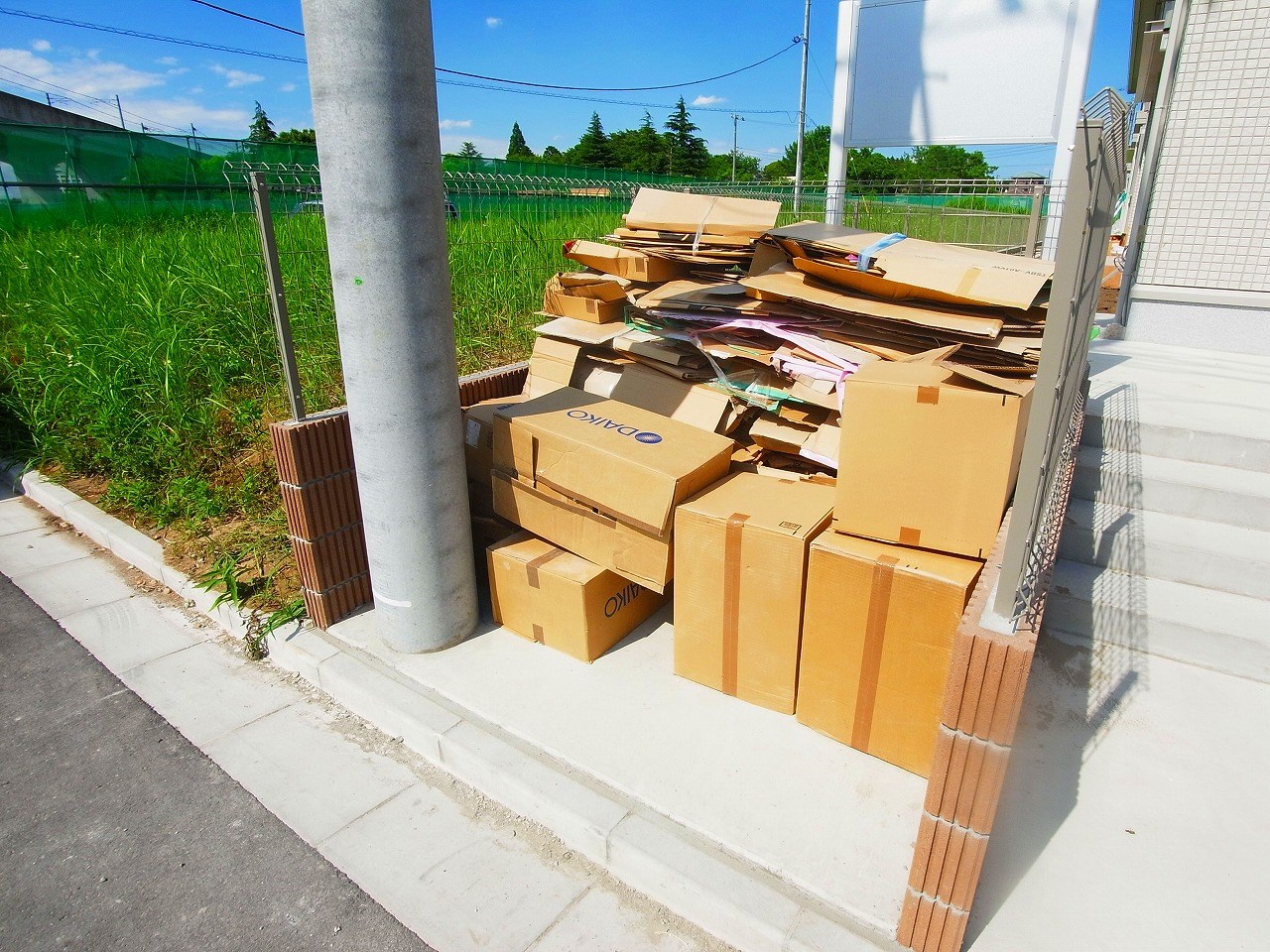 カーネリアン その他外観6