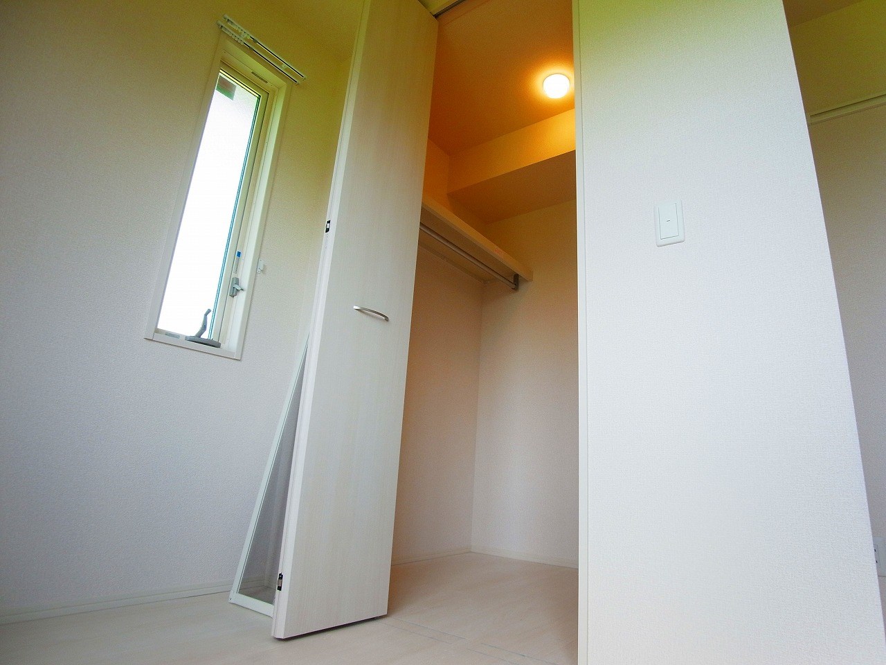 カーネリアン その他11