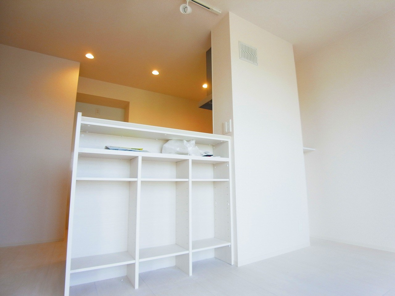 カーネリアン その他16