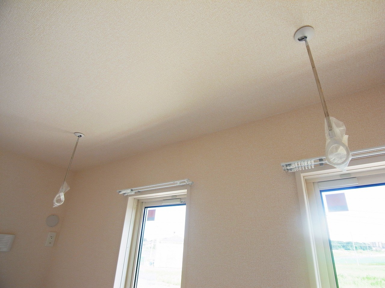 カーネリアン その他19