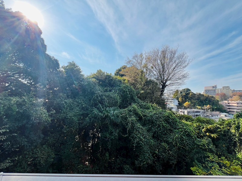 スプリング・Ｋ その他5