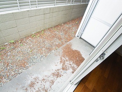 ジュネパレス新松戸第37 ベランダ