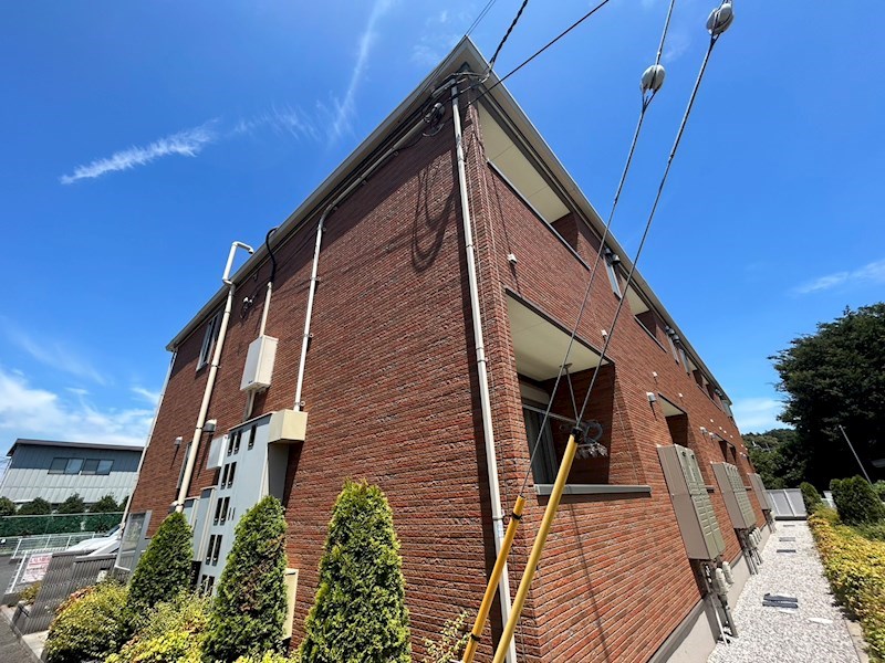 アマリリス その他外観1