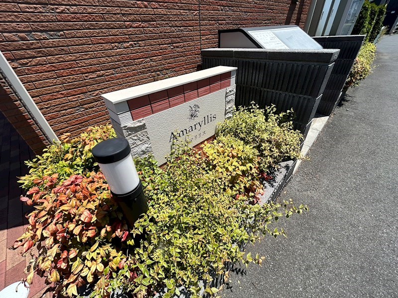 アマリリス その他外観3