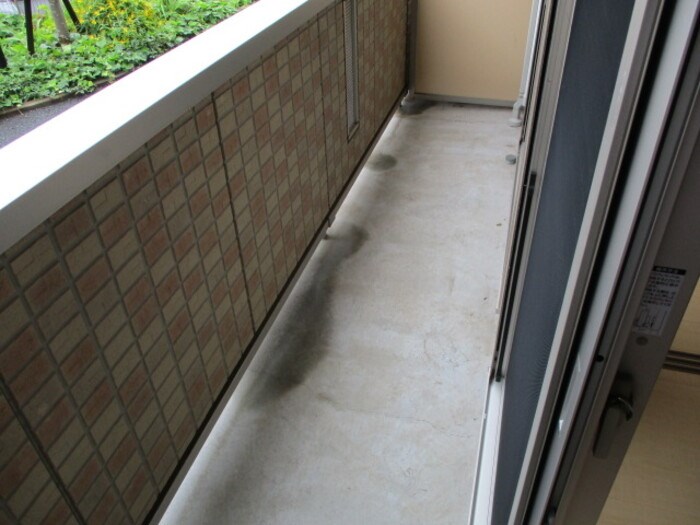 サンシャインⅡ その他6