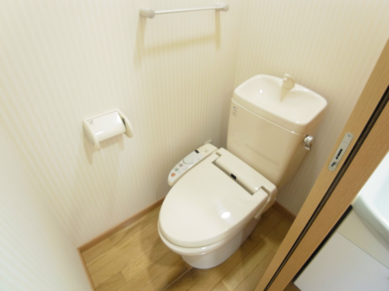 Fortis Mea その他1