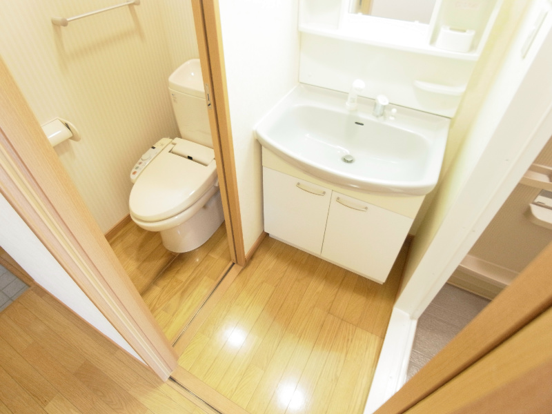 Fortis Mea その他2