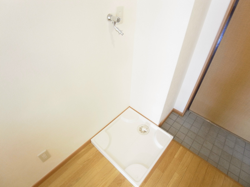 Fortis Mea その他4