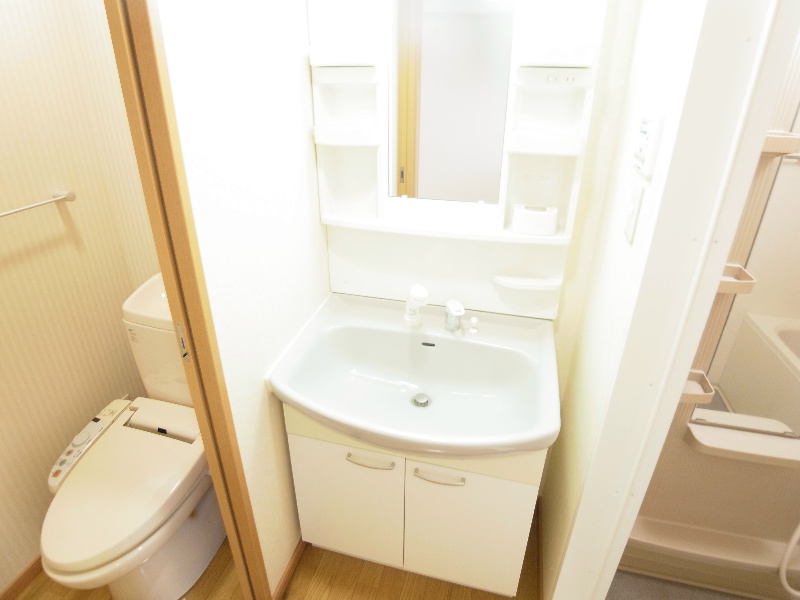 Fortis Mea その他8