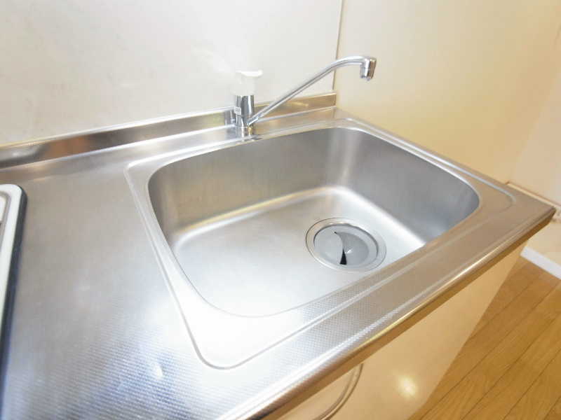 Fortis Mea その他10