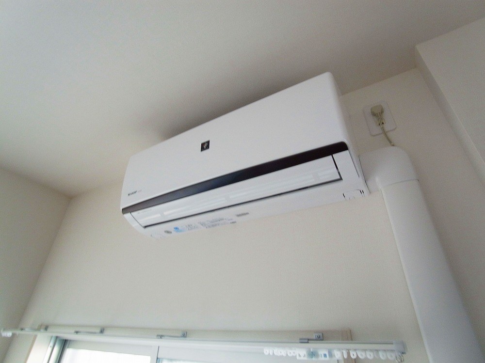 shoebill（シュービル） その他5