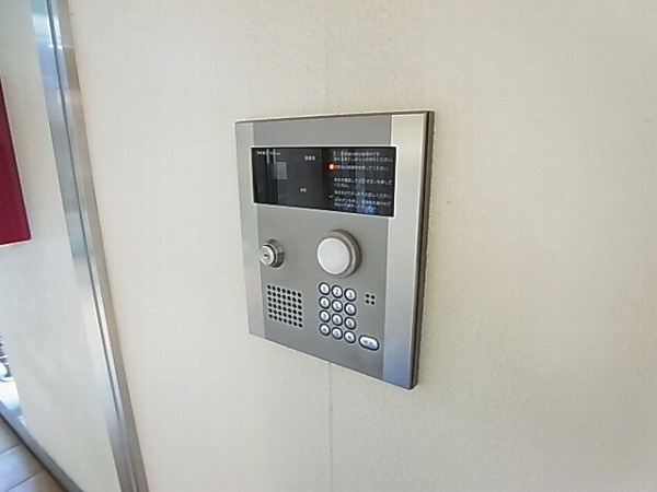 ホワイト　ウッド その他外観6