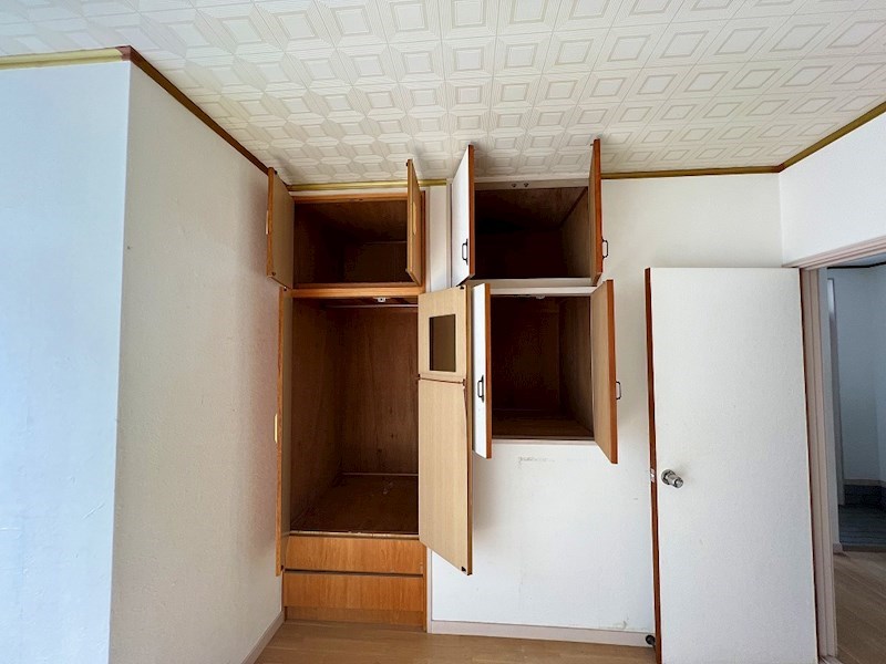 ブルーメ花畑７３ その他11