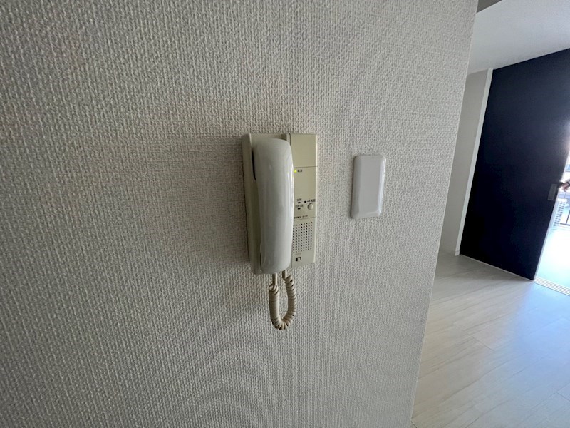 メゾンピオニー大師前 その他4