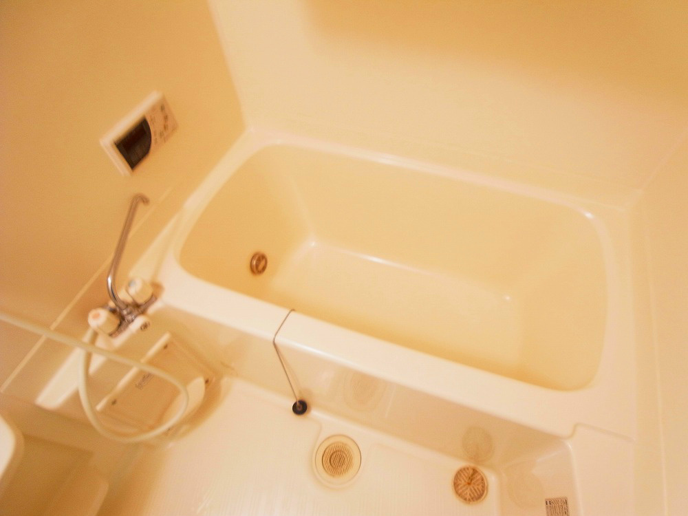 リリー・オブ・ザ・バレー その他7