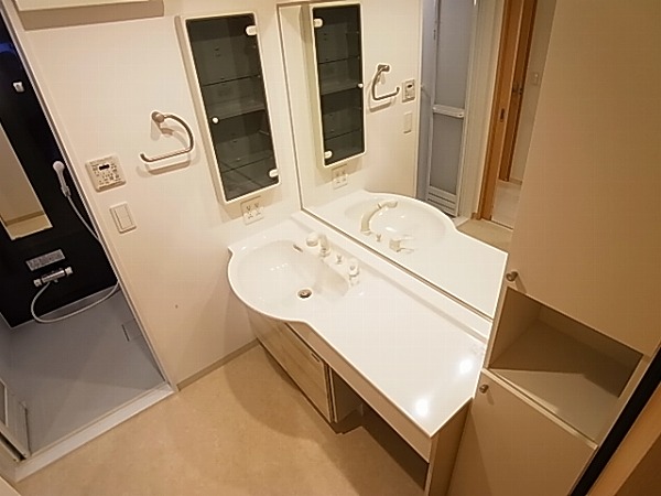 Vesta（ウェスタ） その他2