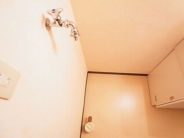 グリーンハイム水辺 その他6