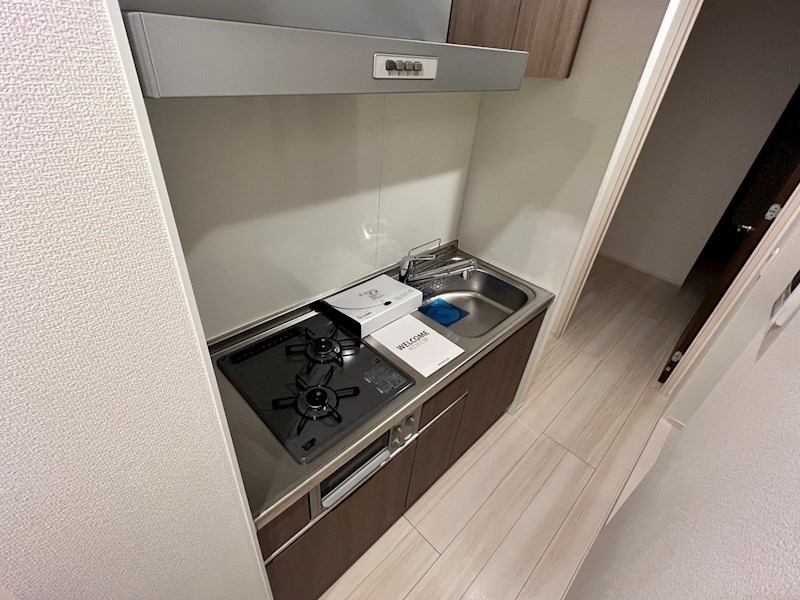 Primavera　Rosa その他14