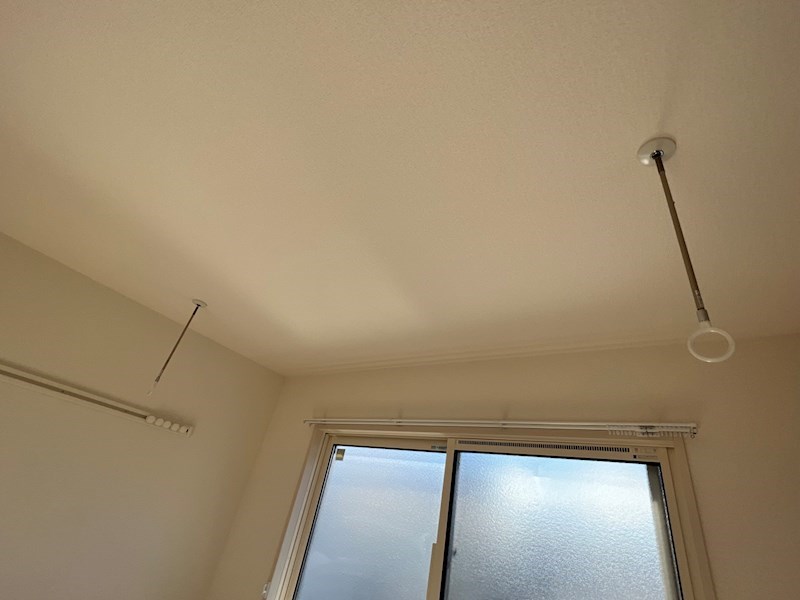 Primavera　Rosa その他26