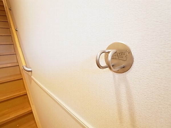 コロランテ・ティA その他9