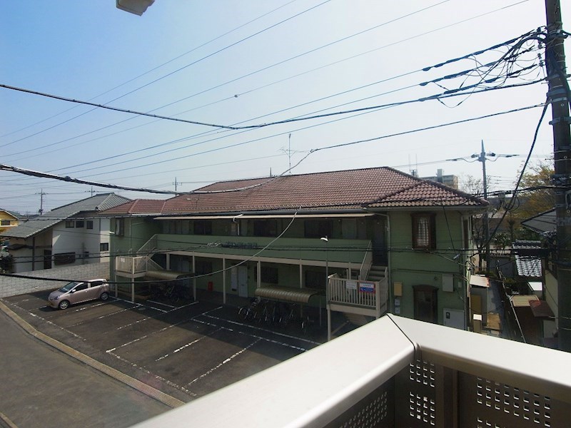 カトレア　Ⅰ その他5