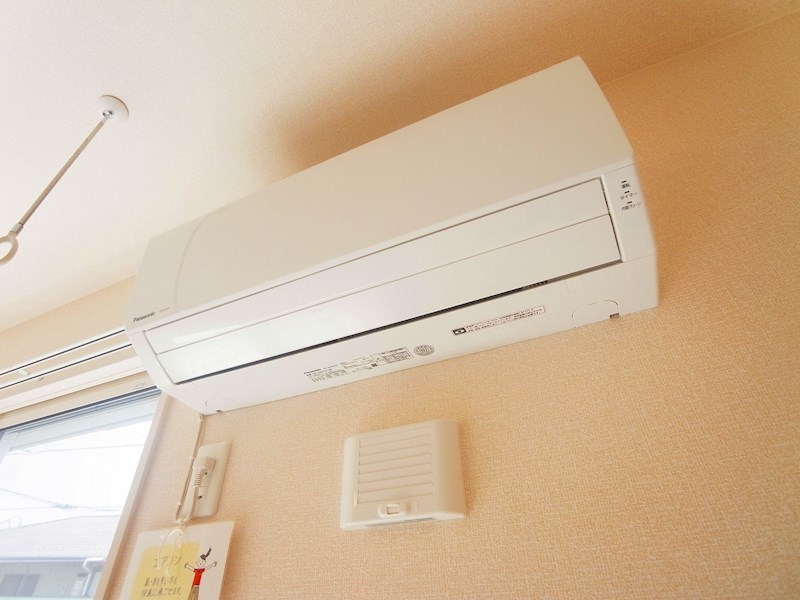 カトレア　Ⅰ その他6