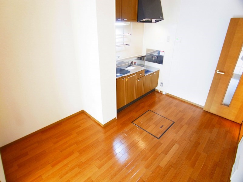 シャトルアイⅡ その他10