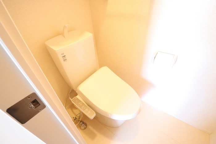 シゴーニュ その他1