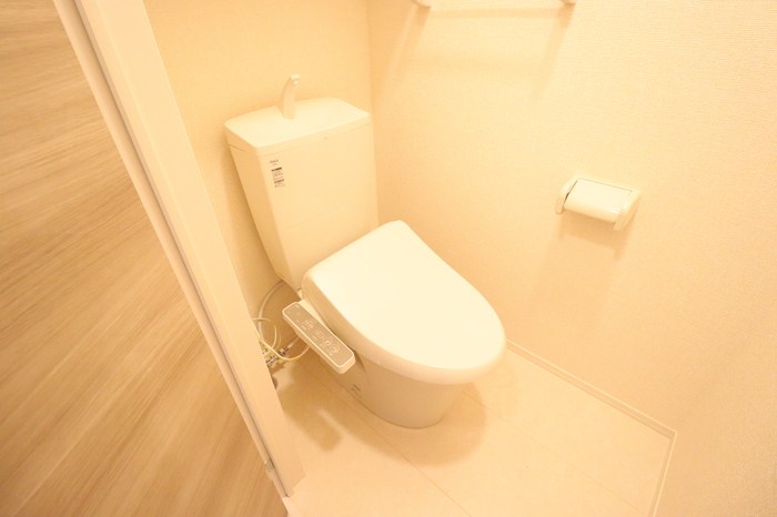 シゴーニュ その他1