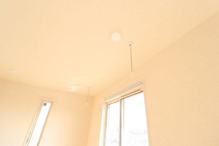 シゴーニュ その他5