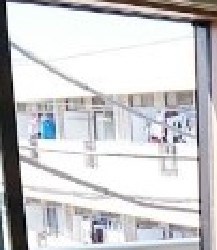 Ｔｈｅｓａｕｒｕｓ その他5