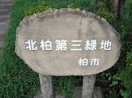 ニューポート北柏 周辺画像10