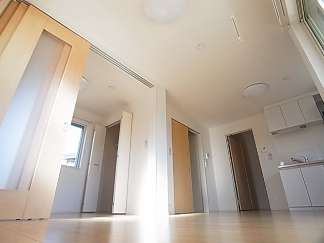 プリムラⅠ その他12