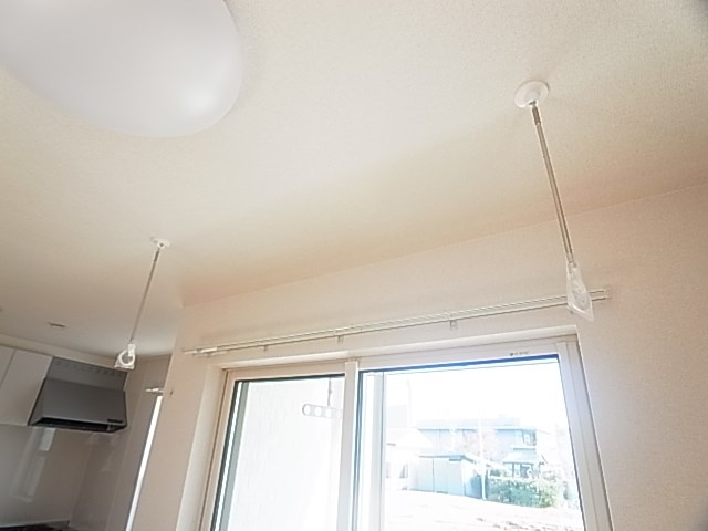プリムラⅠ その他13