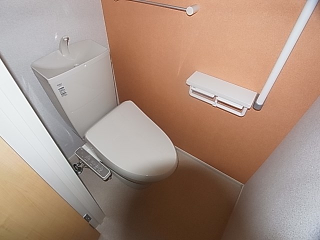 プリムラⅡ その他1