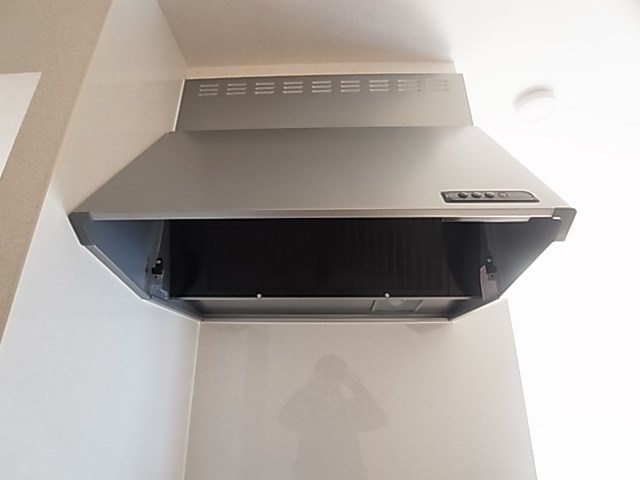 プリムラⅡ その他11