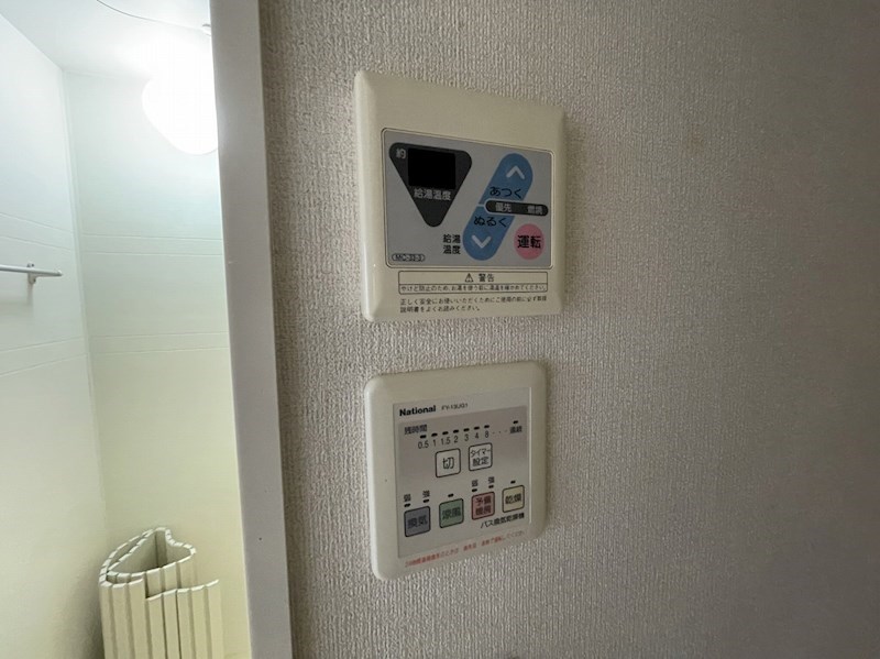 Fiesta その他19
