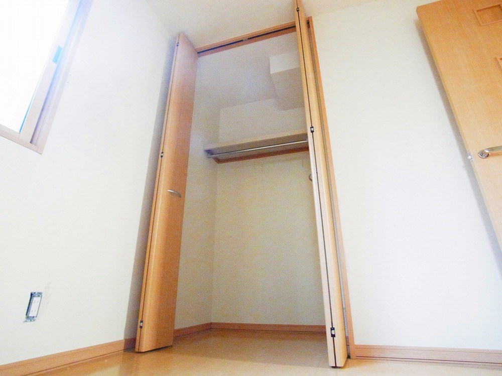 ステラ2 その他3