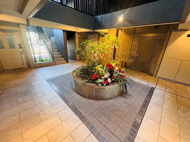 Ｓｕｎｎｙ　Ｓｉｄｅ　Ｆｏｒｅｓｔ その他外観2